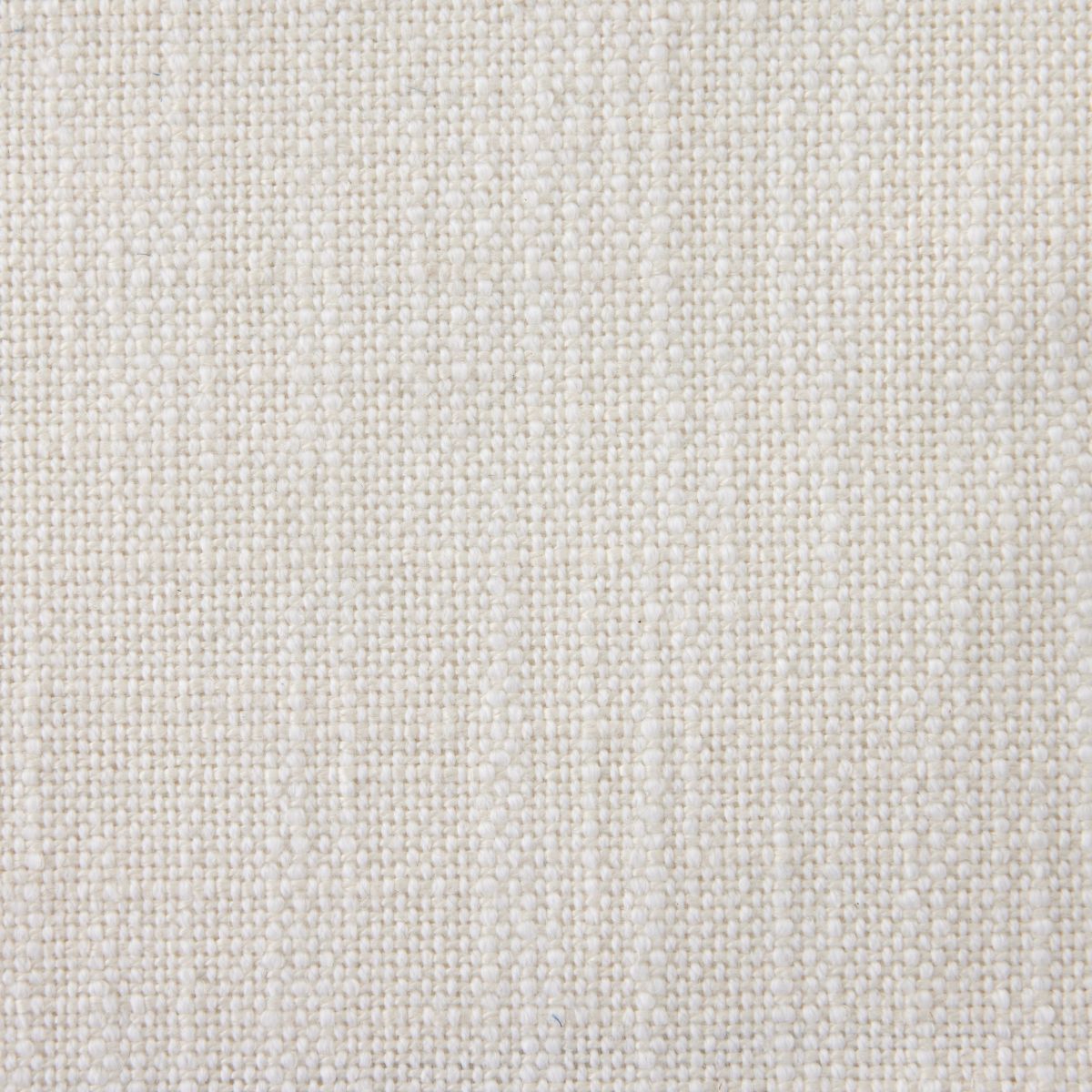 Lace Fabric Swatch