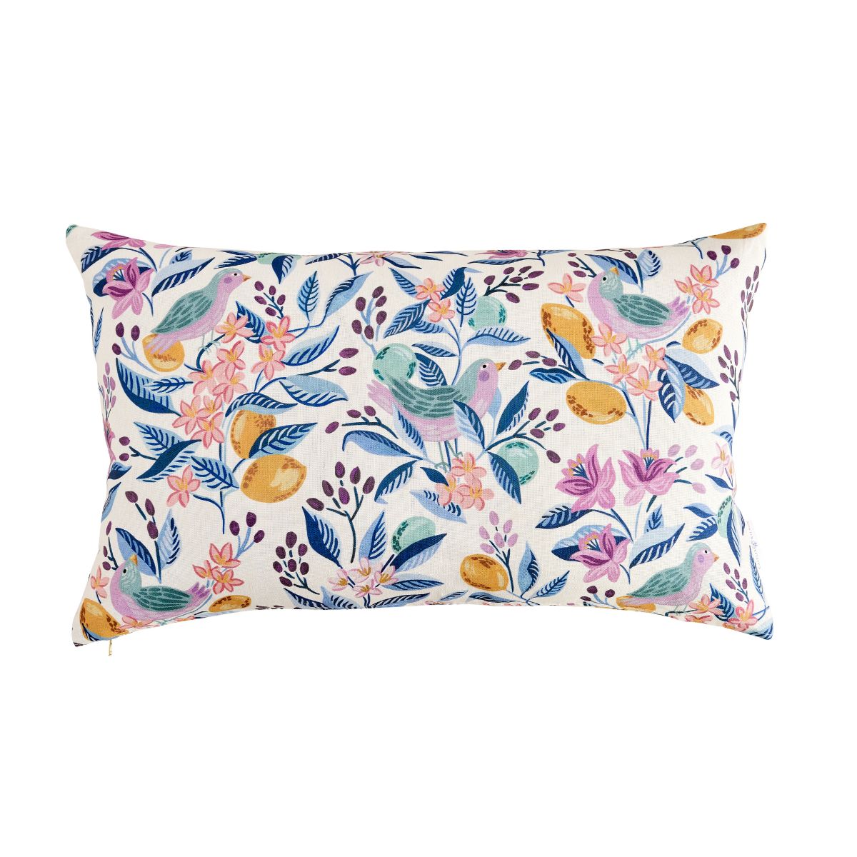 Citron Bleu Pillow Cover