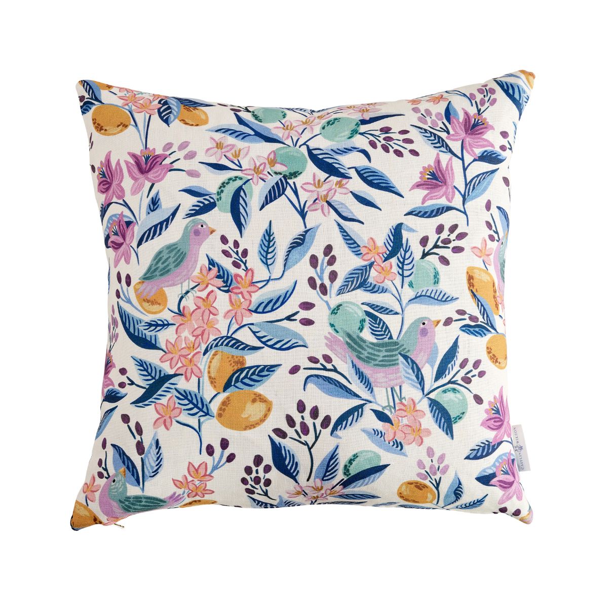 Citron Bleu Pillow Cover
