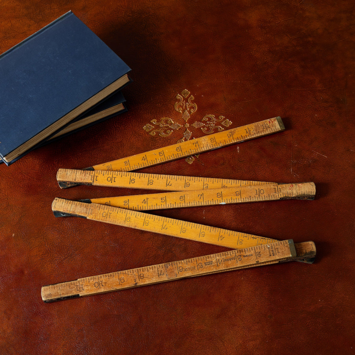 Historical Measure - Caitlin Wilson Designs