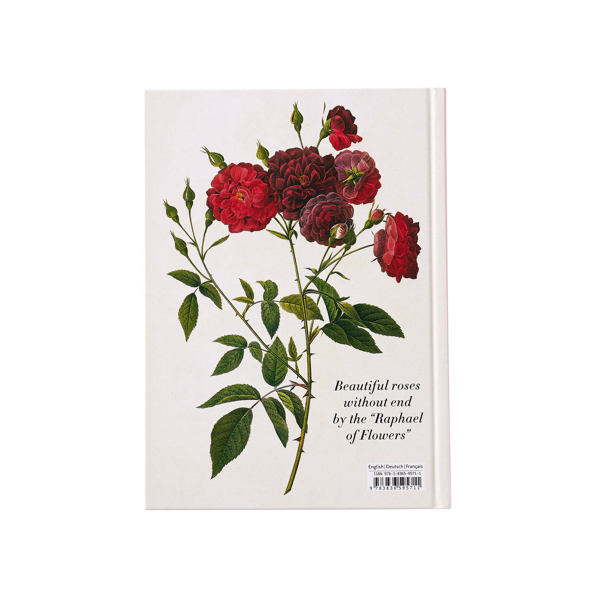 Redoute: Roses