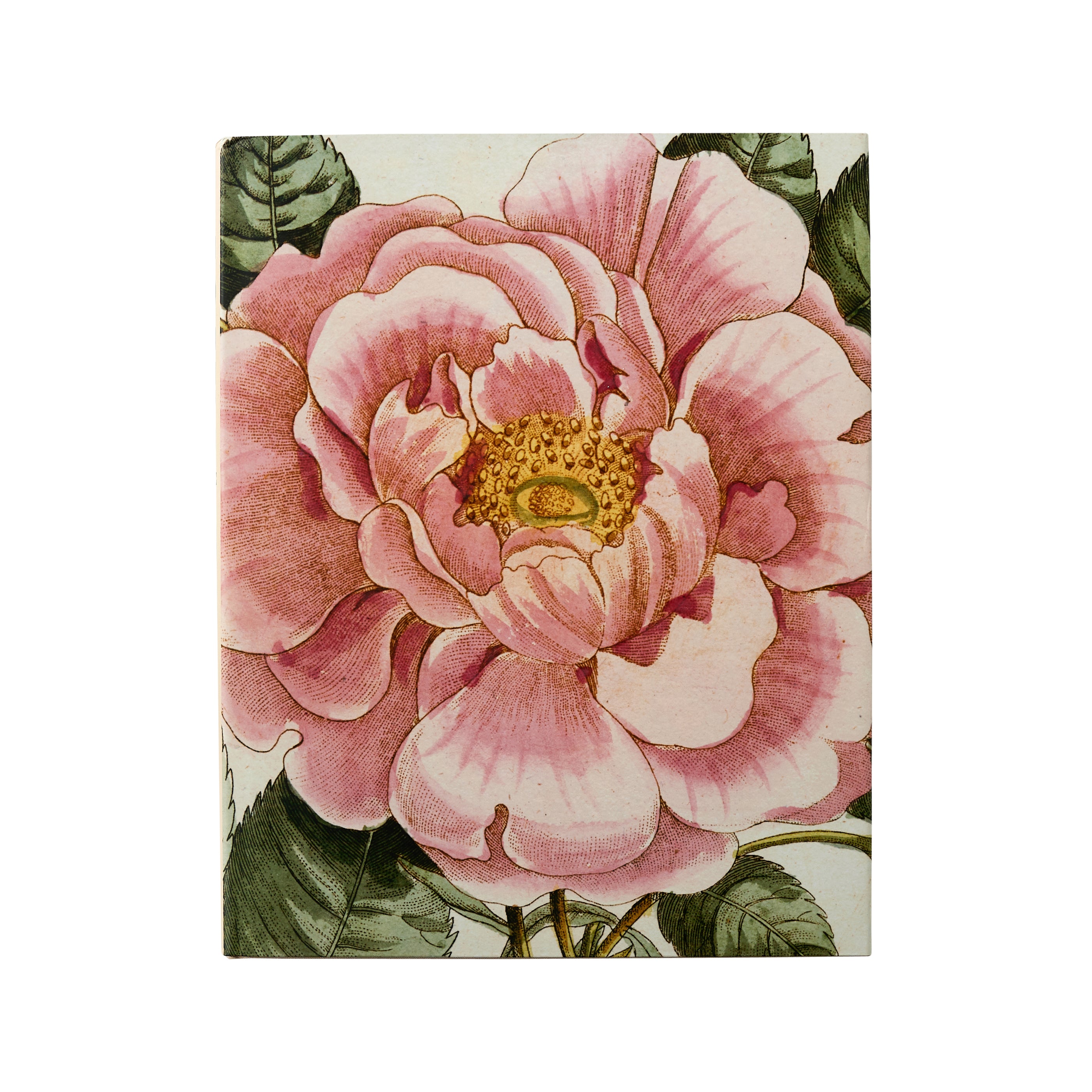 John Derian Picture Book