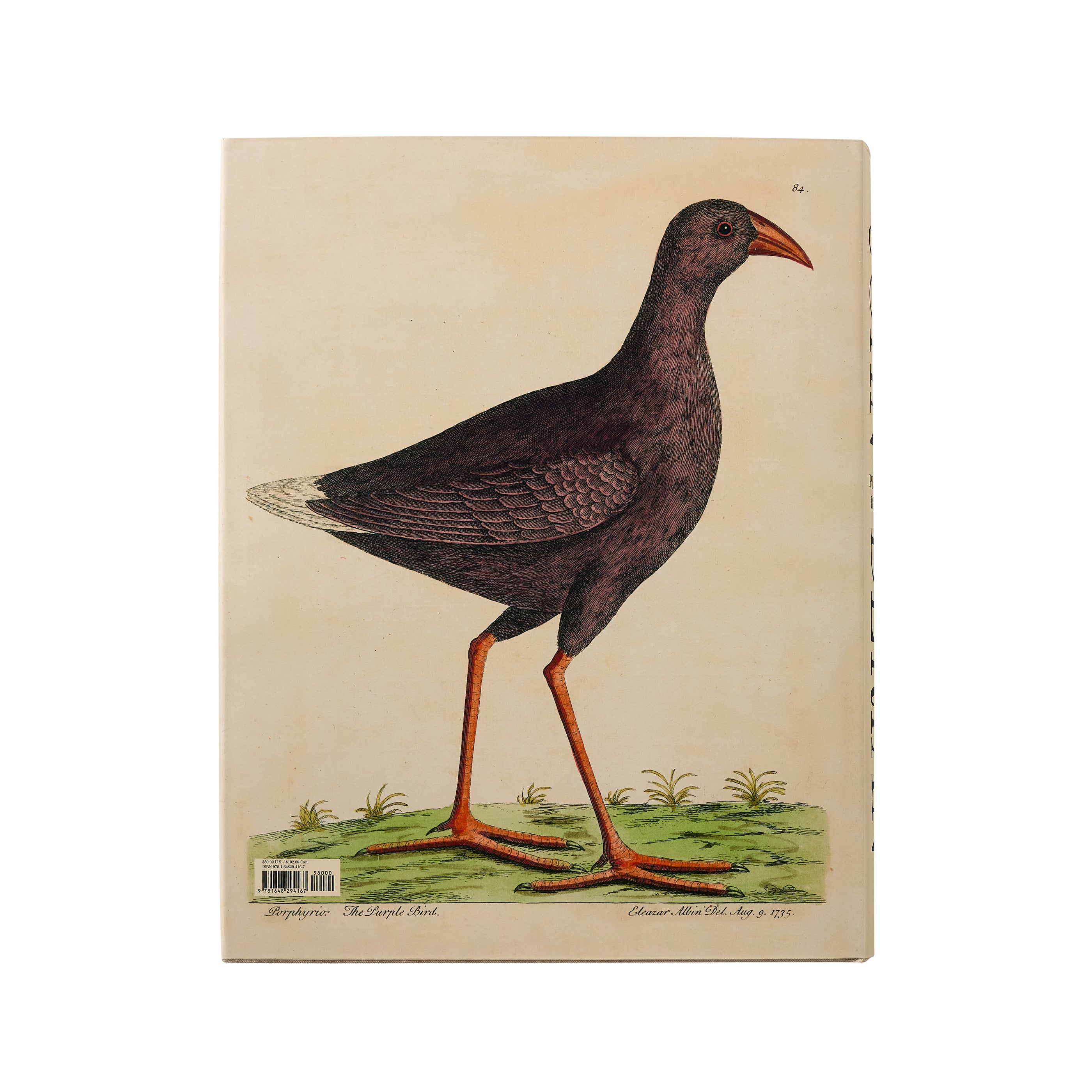 John Derian Picture Book