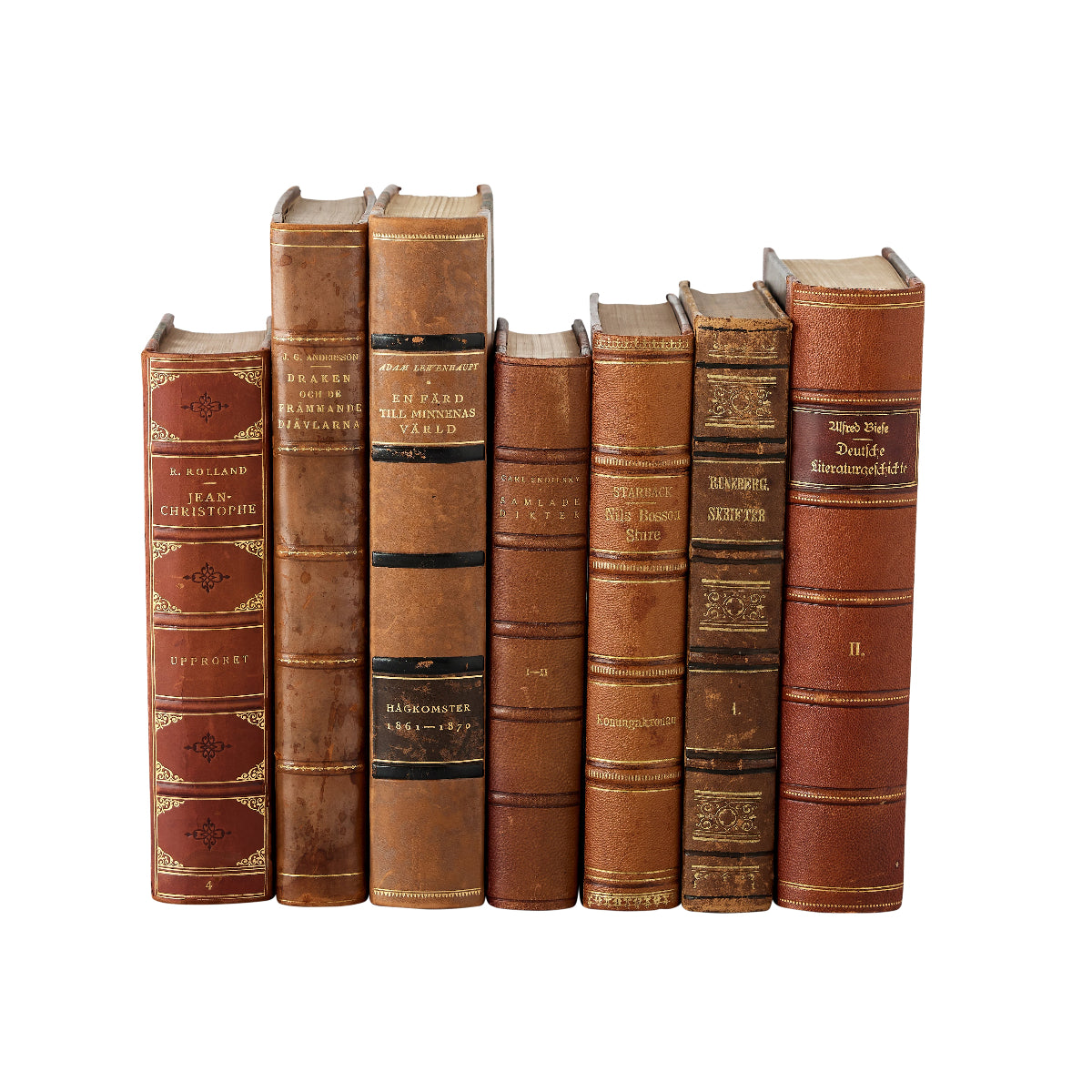Glasgow Set of Leather-Bound Books - Caitlin Wilson Design