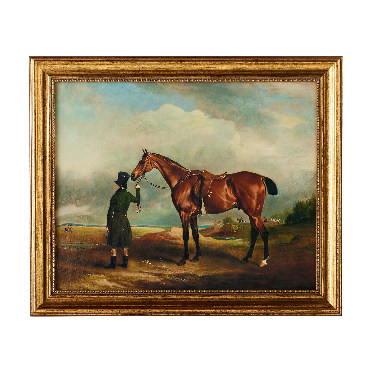 Country Estate Trainer - Caitlin Wilson Design