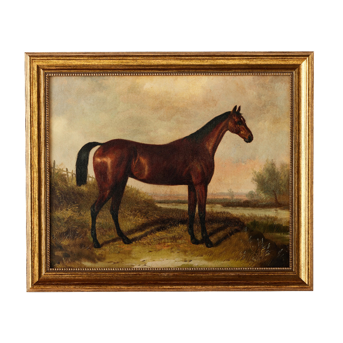 Equestrian Cavalry - Caitlin Wilson Design