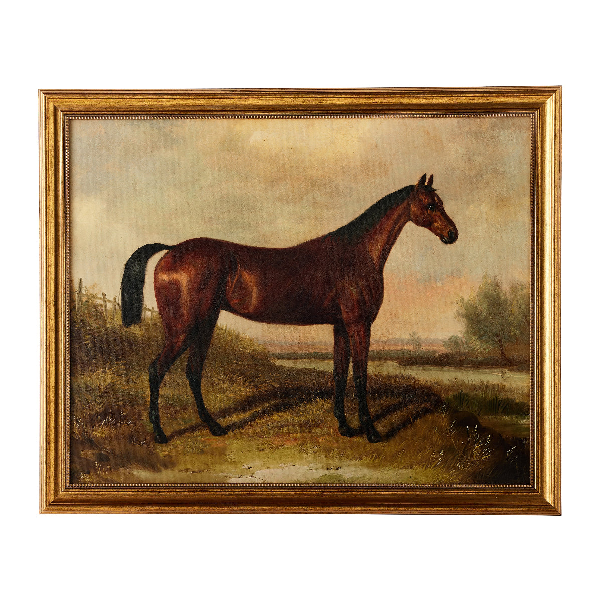 Equestrian Cavalry - Caitlin Wilson Design