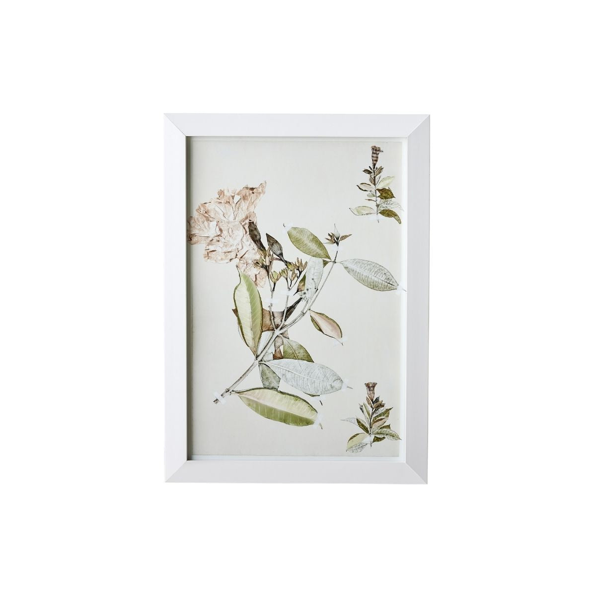 Gilded Botanical Print II