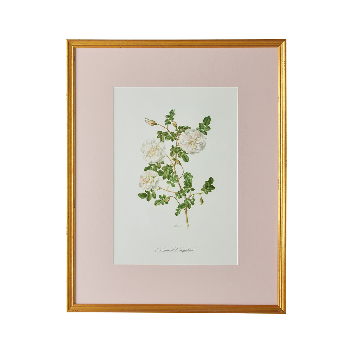 Stamwell Perpetual Artwork - Caitlin Wilson Design