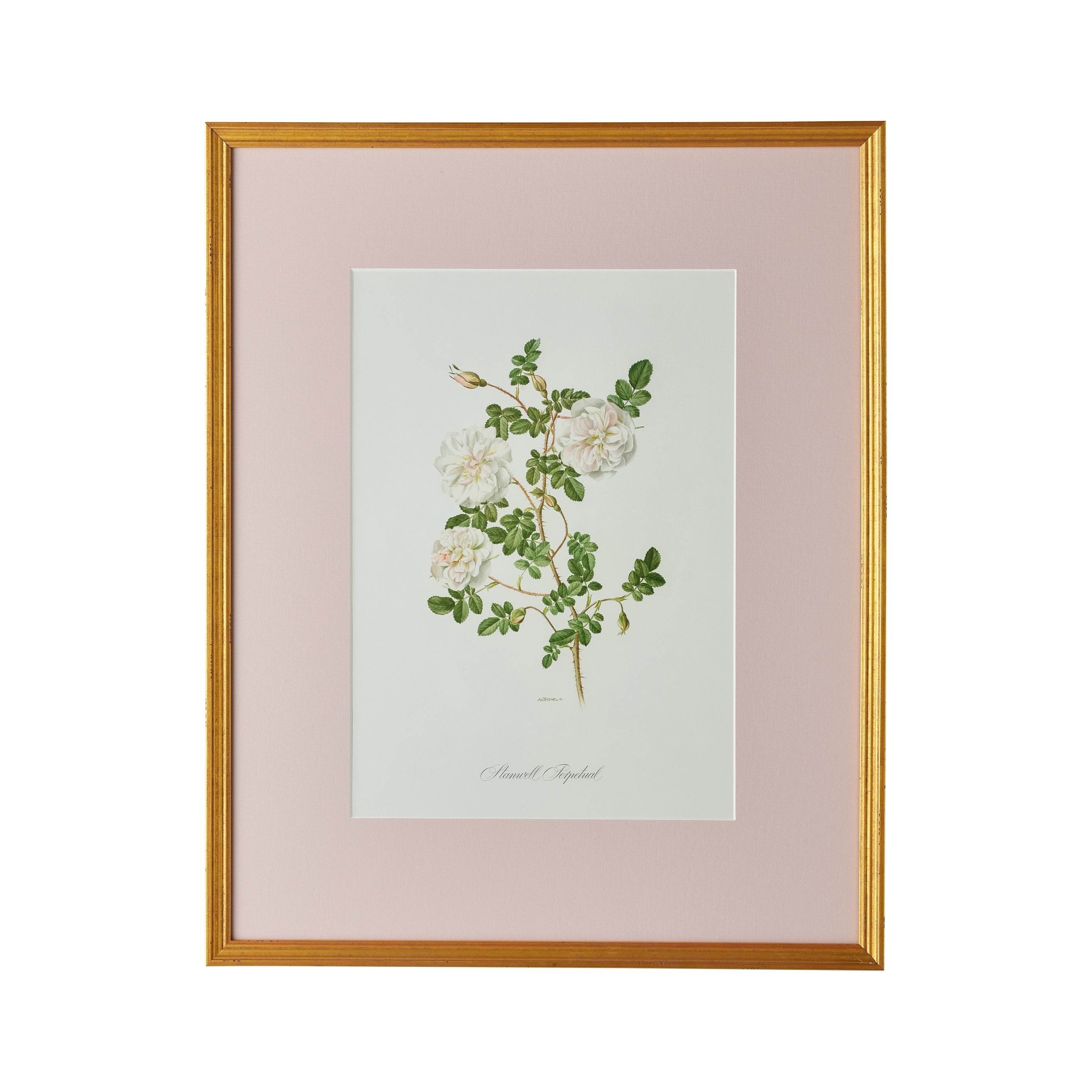 Stamwell Perpetual Artwork - Caitlin Wilson Design