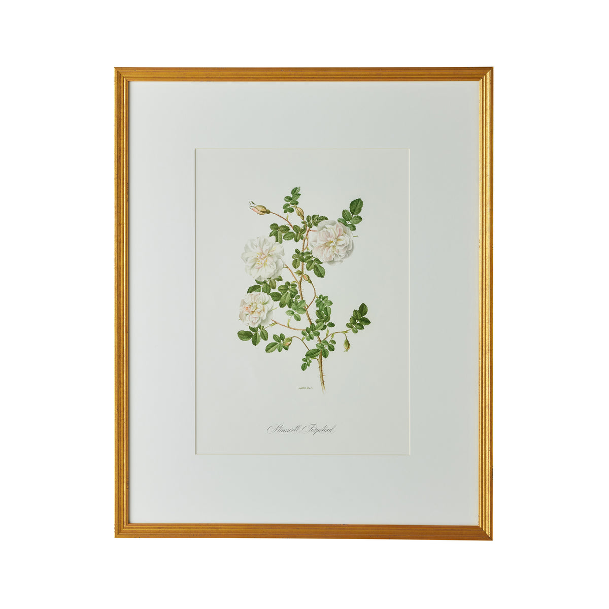 Stamwell Perpetual Artwork - Caitlin Wilson Design