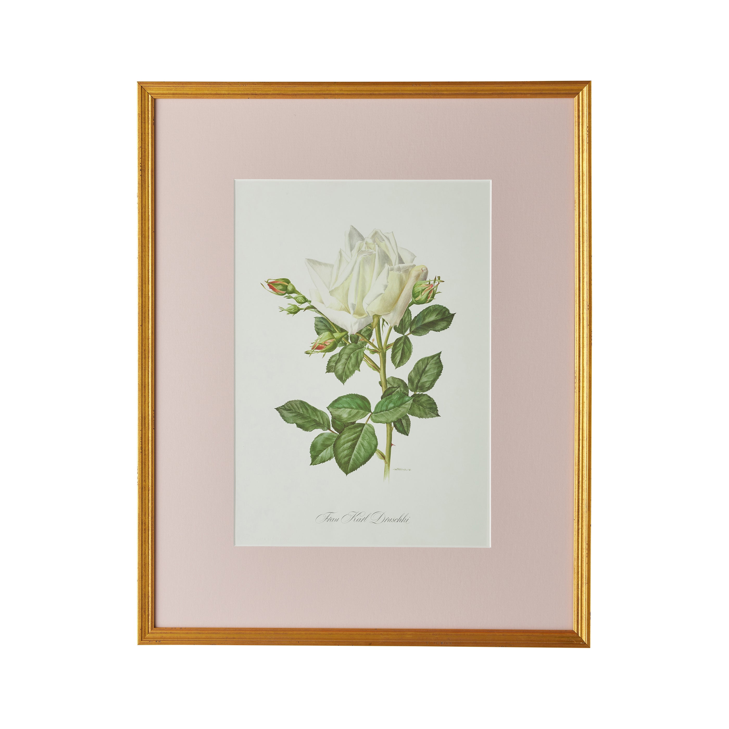 Spring Revival Print I - Caitlin Wilson Design
