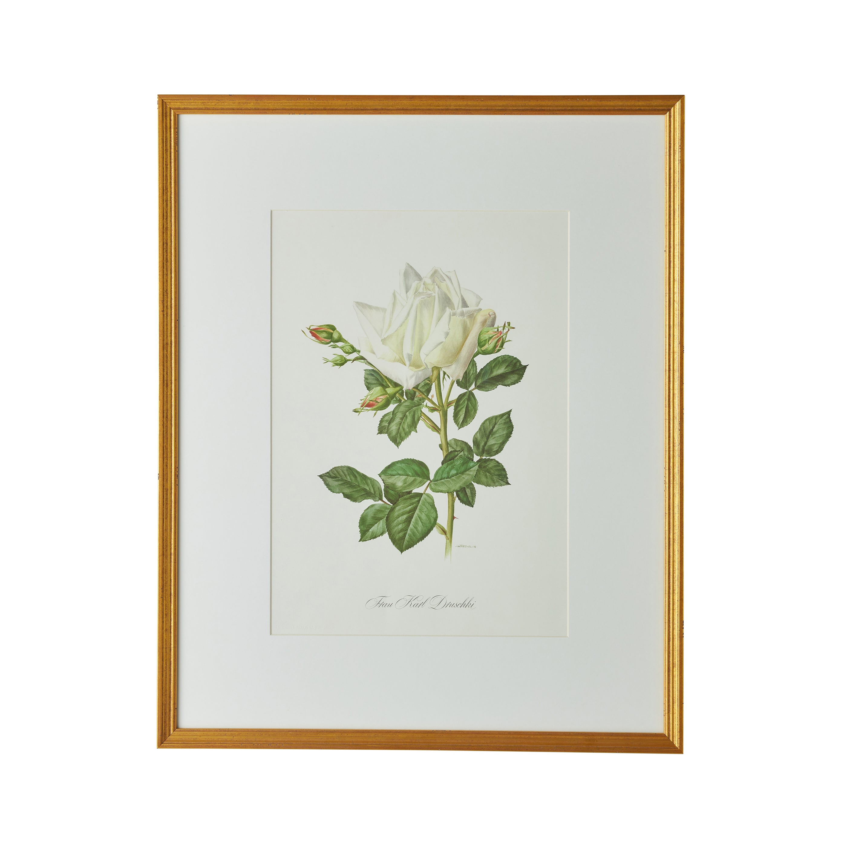 Spring Revival Print I - Caitlin Wilson Design