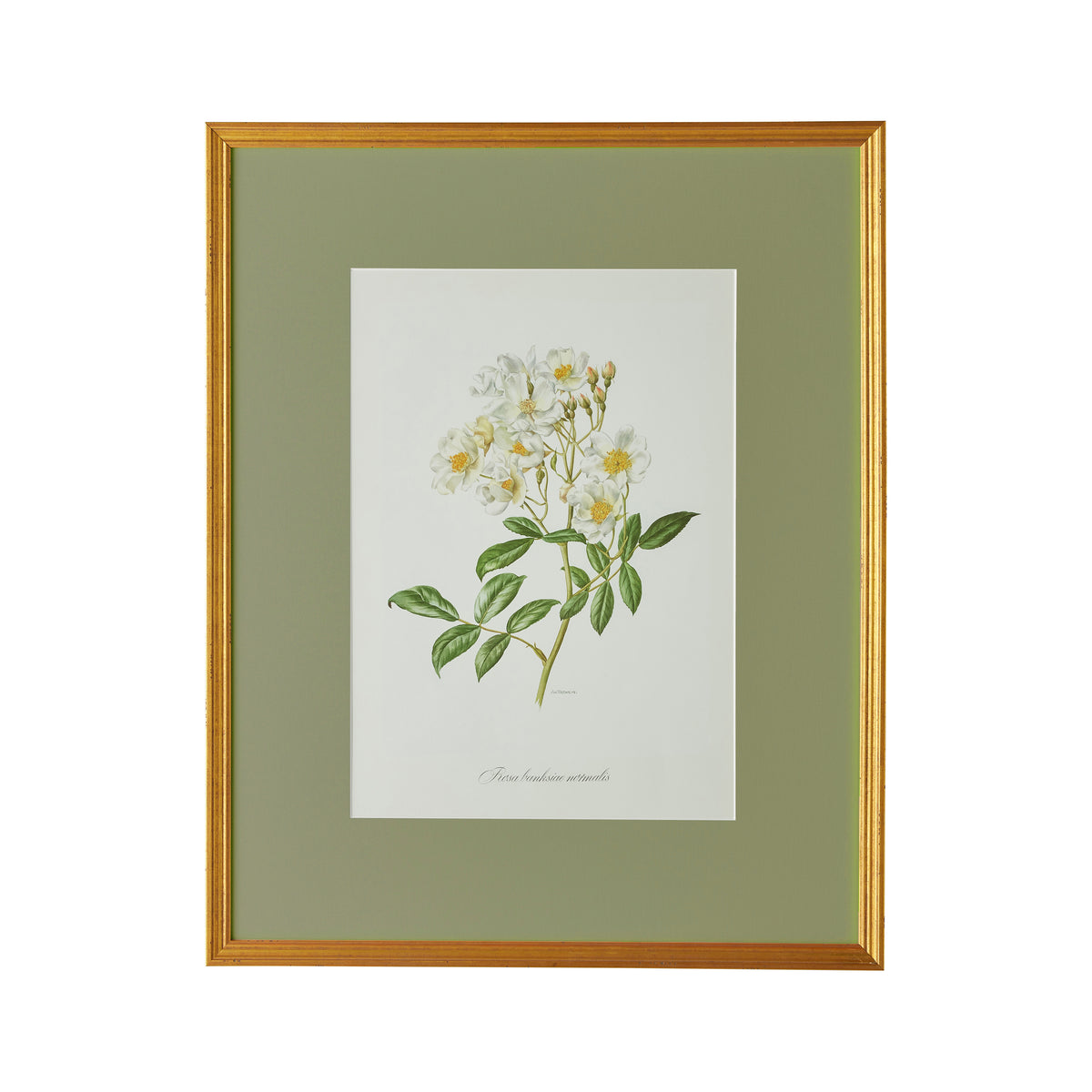 Spring Revival Print II - Caitlin Wilson Design