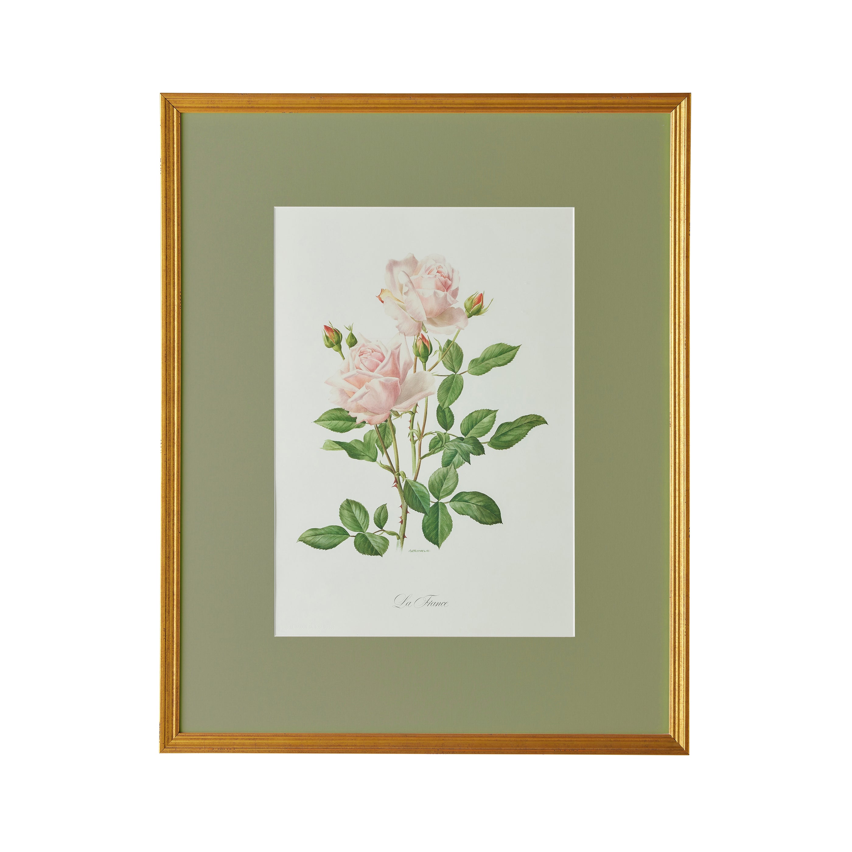 Spring Revival Print X - Caitlin Wilson Design