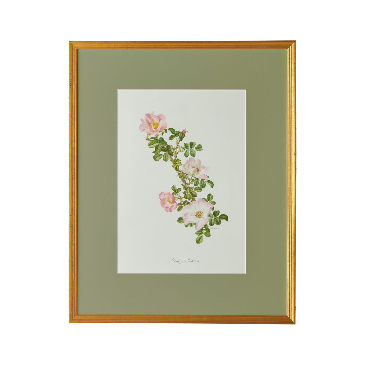 Spring Revival Print IX - Caitlin Wilson Design