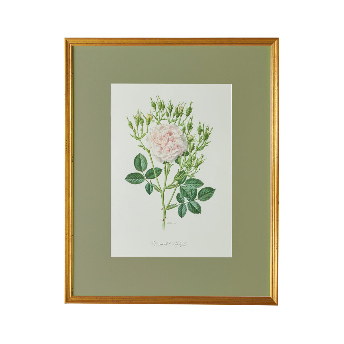 Spring Revival Print VIII - Caitlin Wilson Design