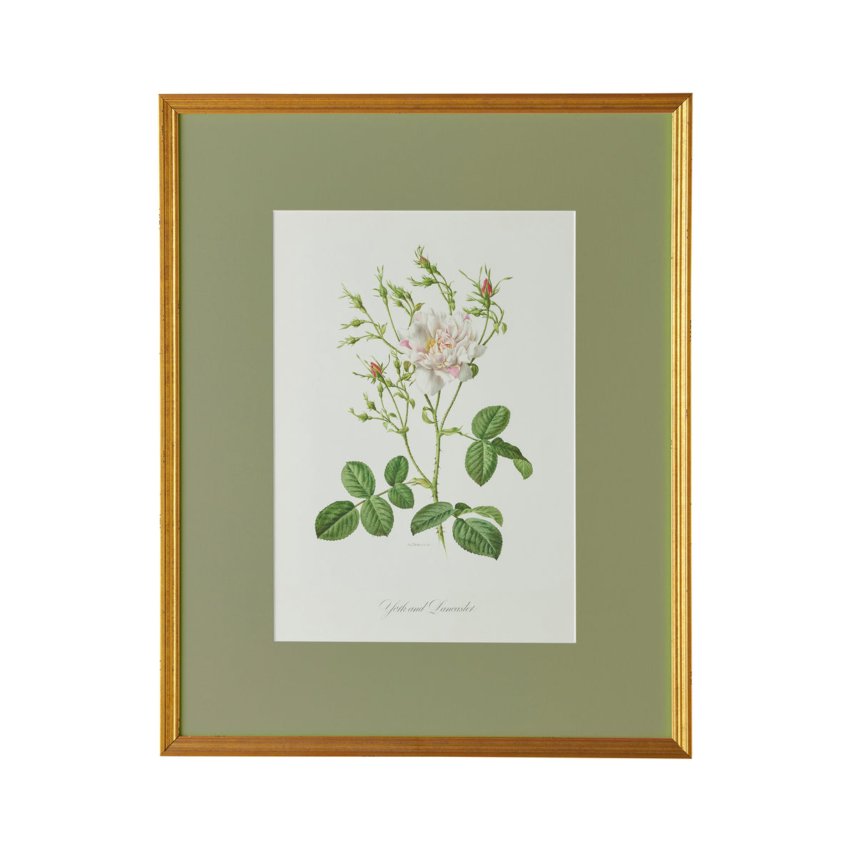 Spring Revival Print VII - Caitlin Wilson Design