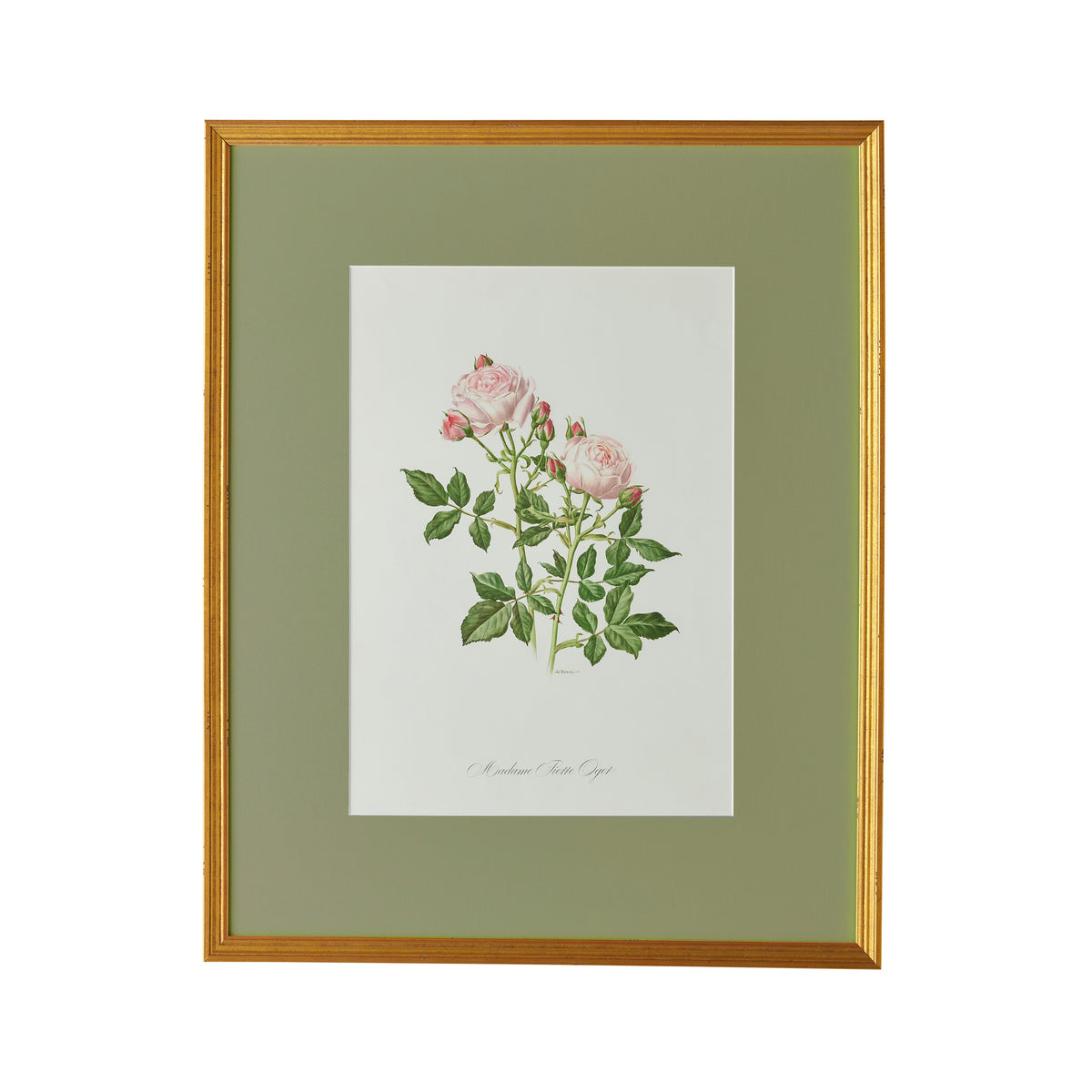 Spring Revival Print VI - Caitlin Wilson Design