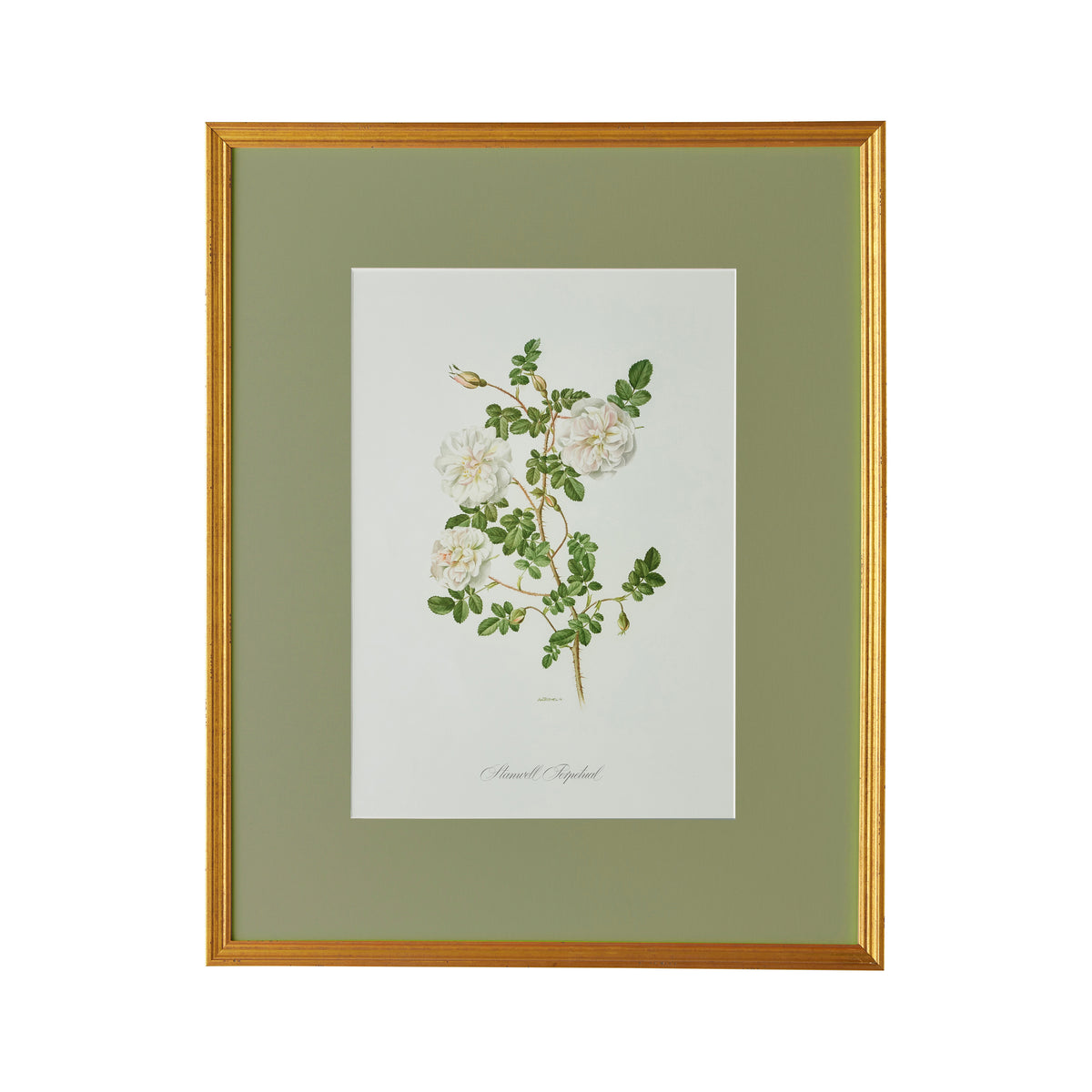 Spring Revival Print IV - Caitlin Wilson Design