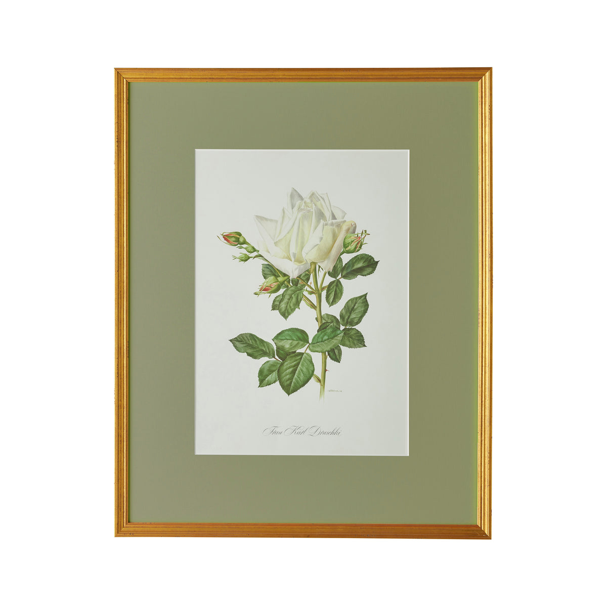 Spring Revival Print I - Caitlin Wilson Design