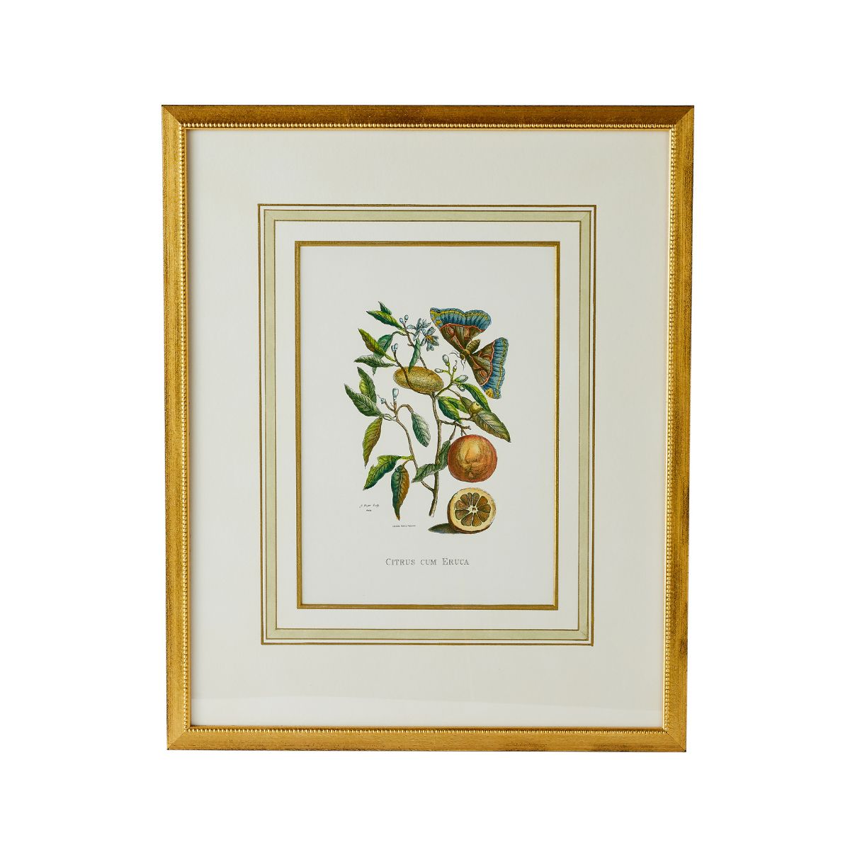 Meriam Botanicals 1 - Caitlin Wilson Design