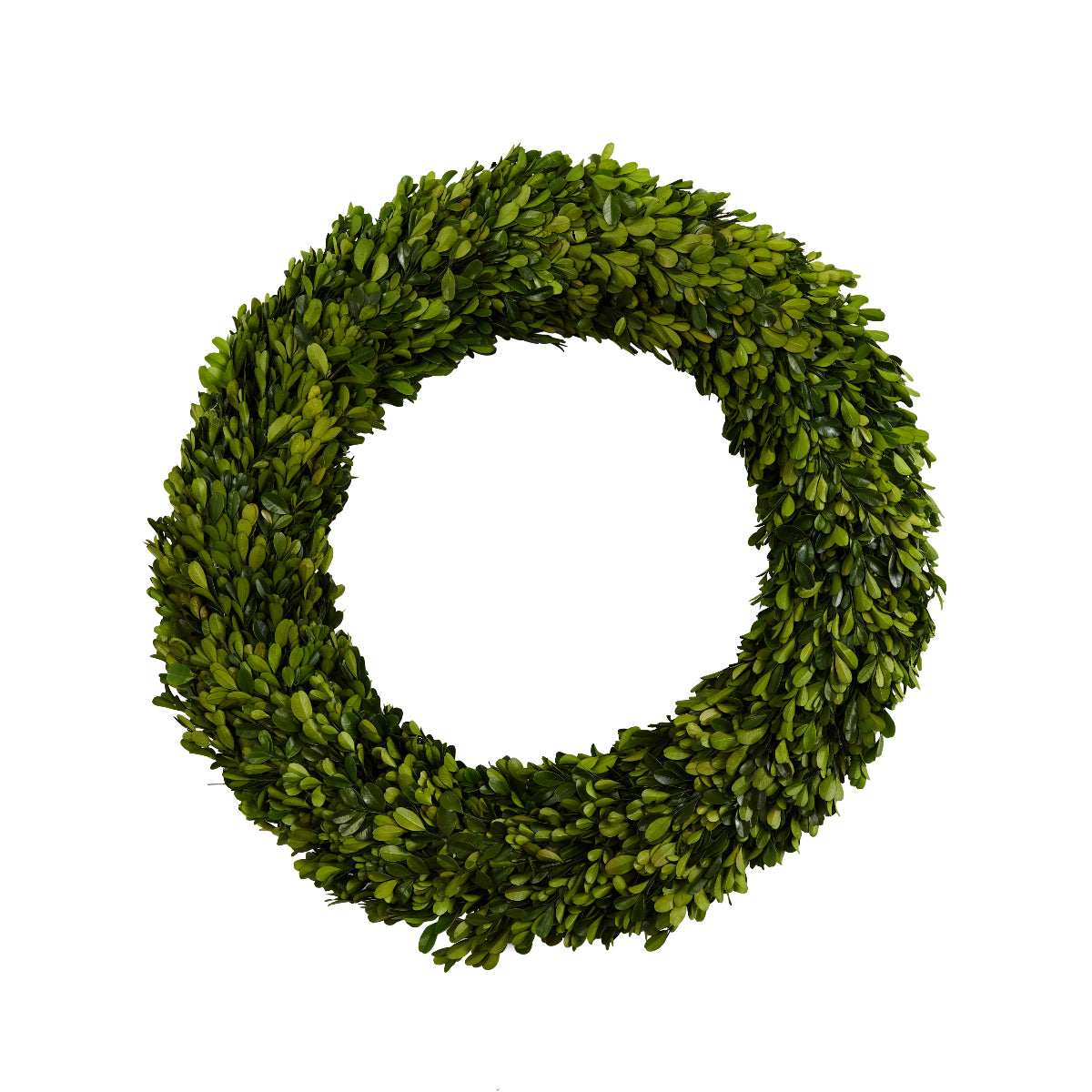 Boxwood Wreath Large