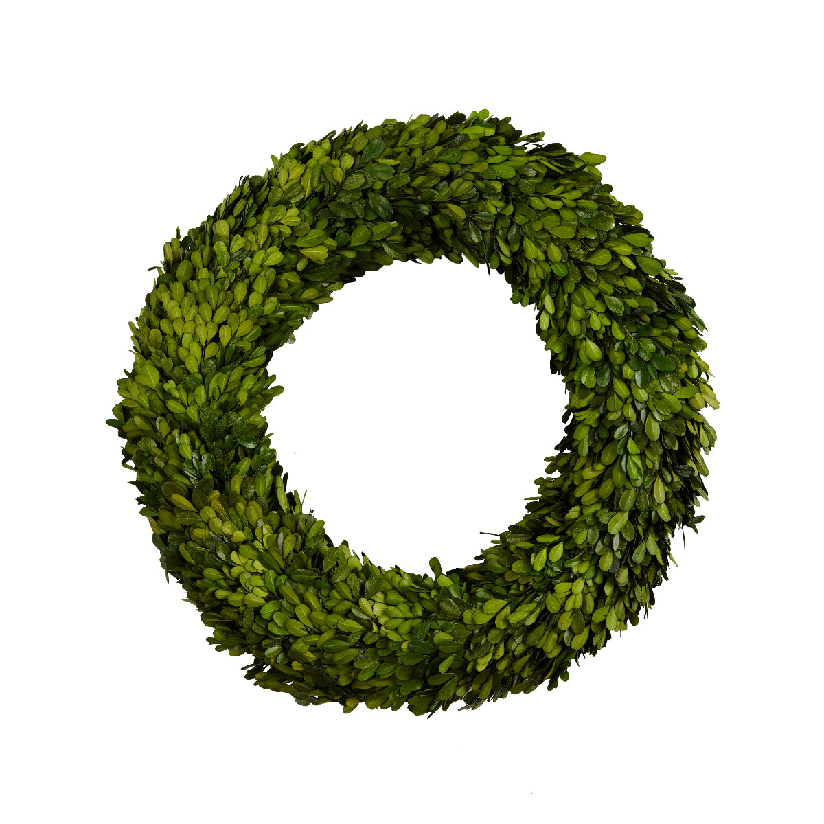 Boxwood Wreath Medium