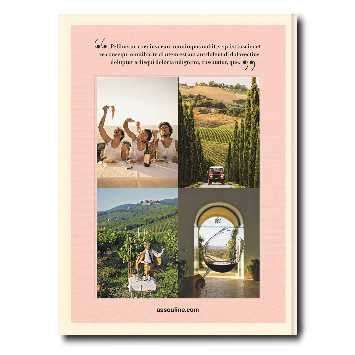 Wine & Travel Italy - Caitlin Wilson Design