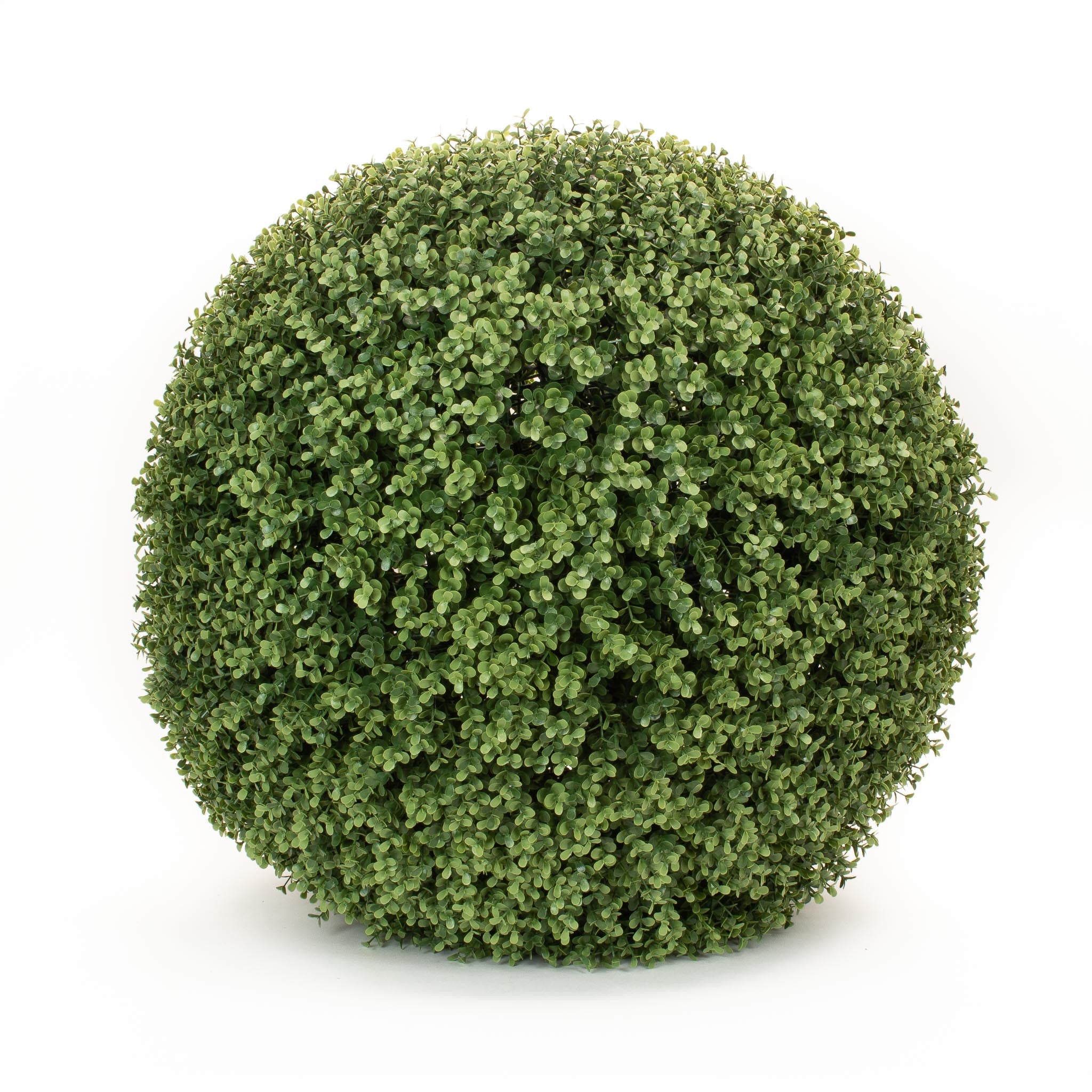 Extra Large Boxwood Ball
