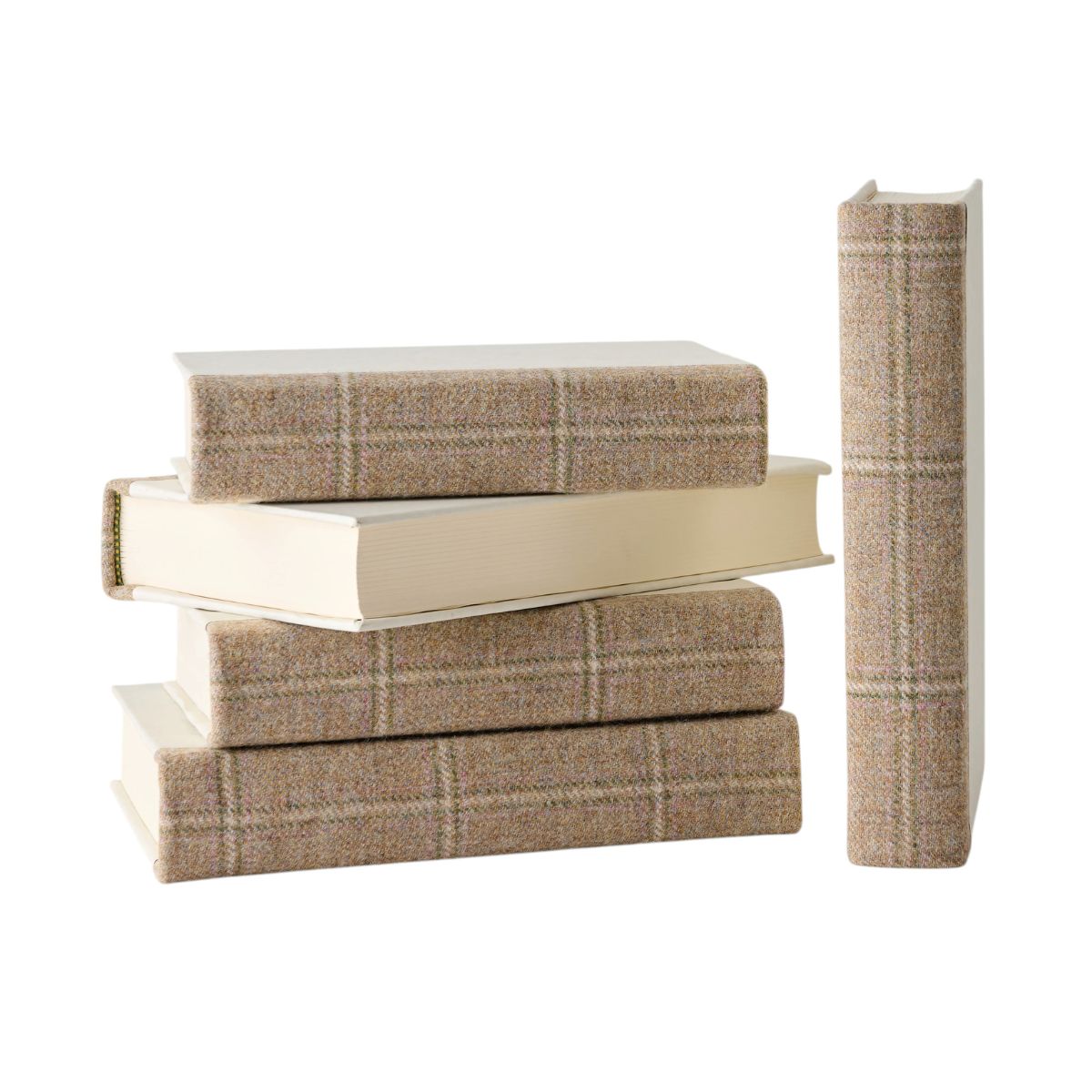 Hastings Book Set of 5 - Caitlin Wilson Design