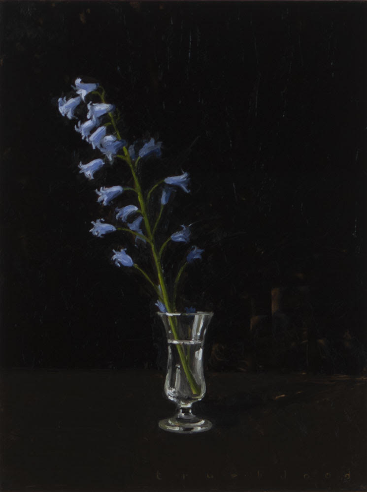 Dutch Bluebells - Caitlin Wilson Design