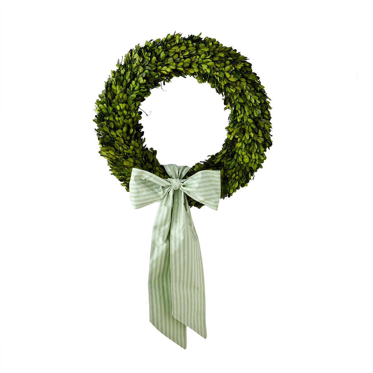 Noelle Wintergreen Ribbon Strip