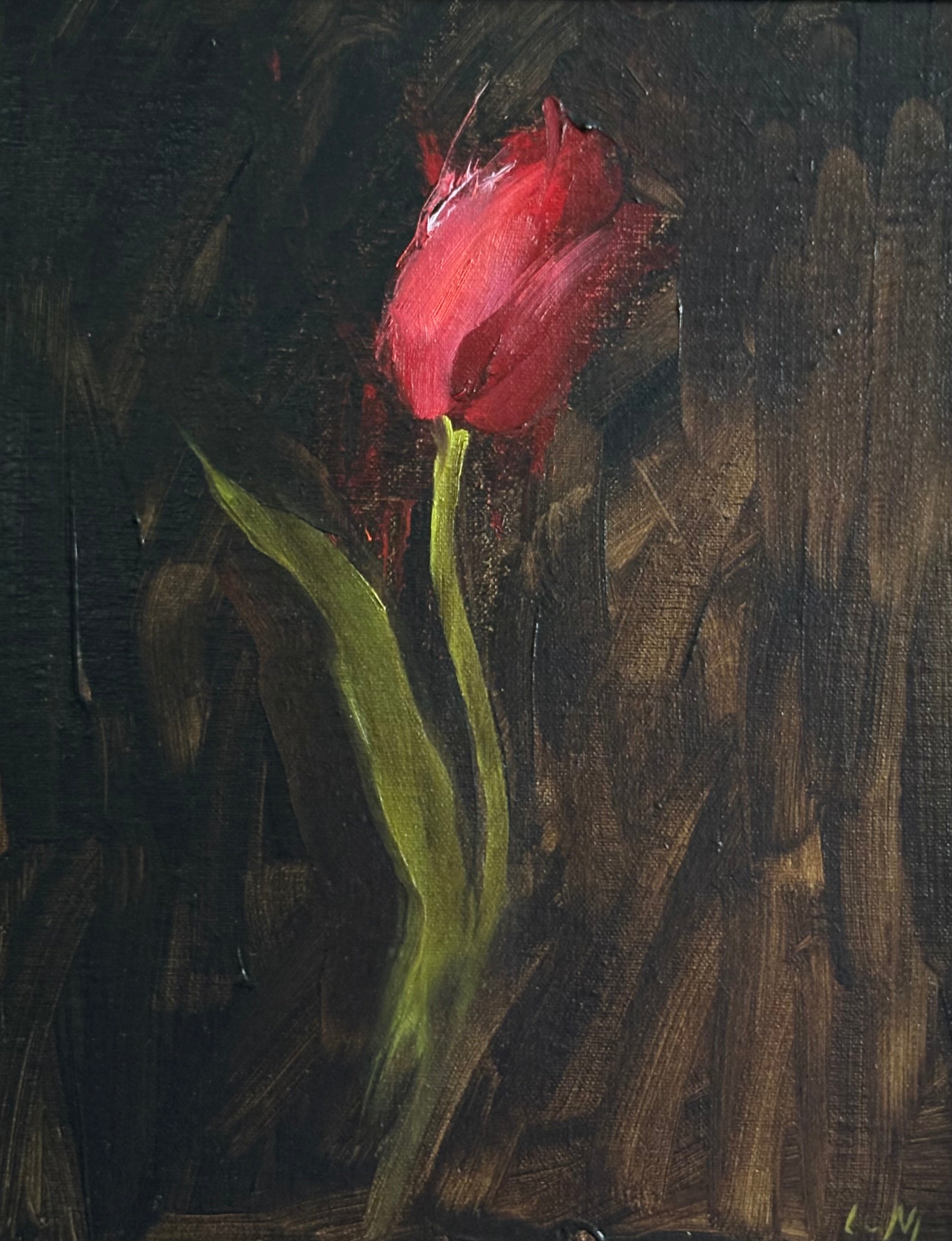 Red Tulip - Caitlin Wilson Design