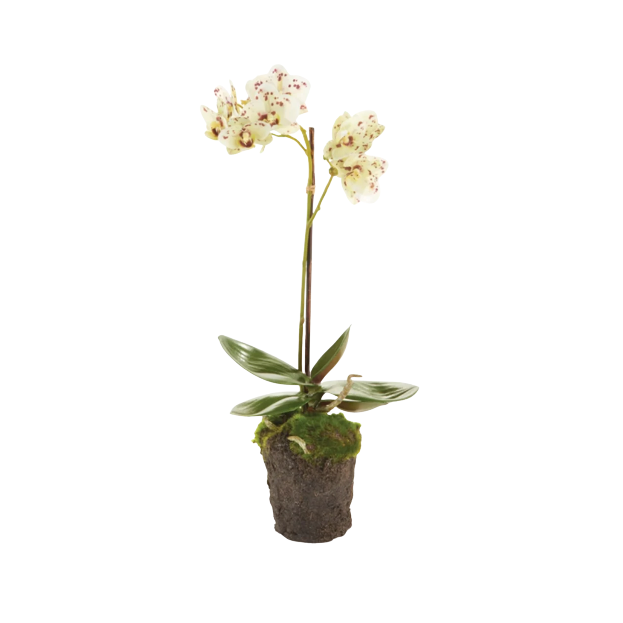 17" Faux Orchid Drop-In