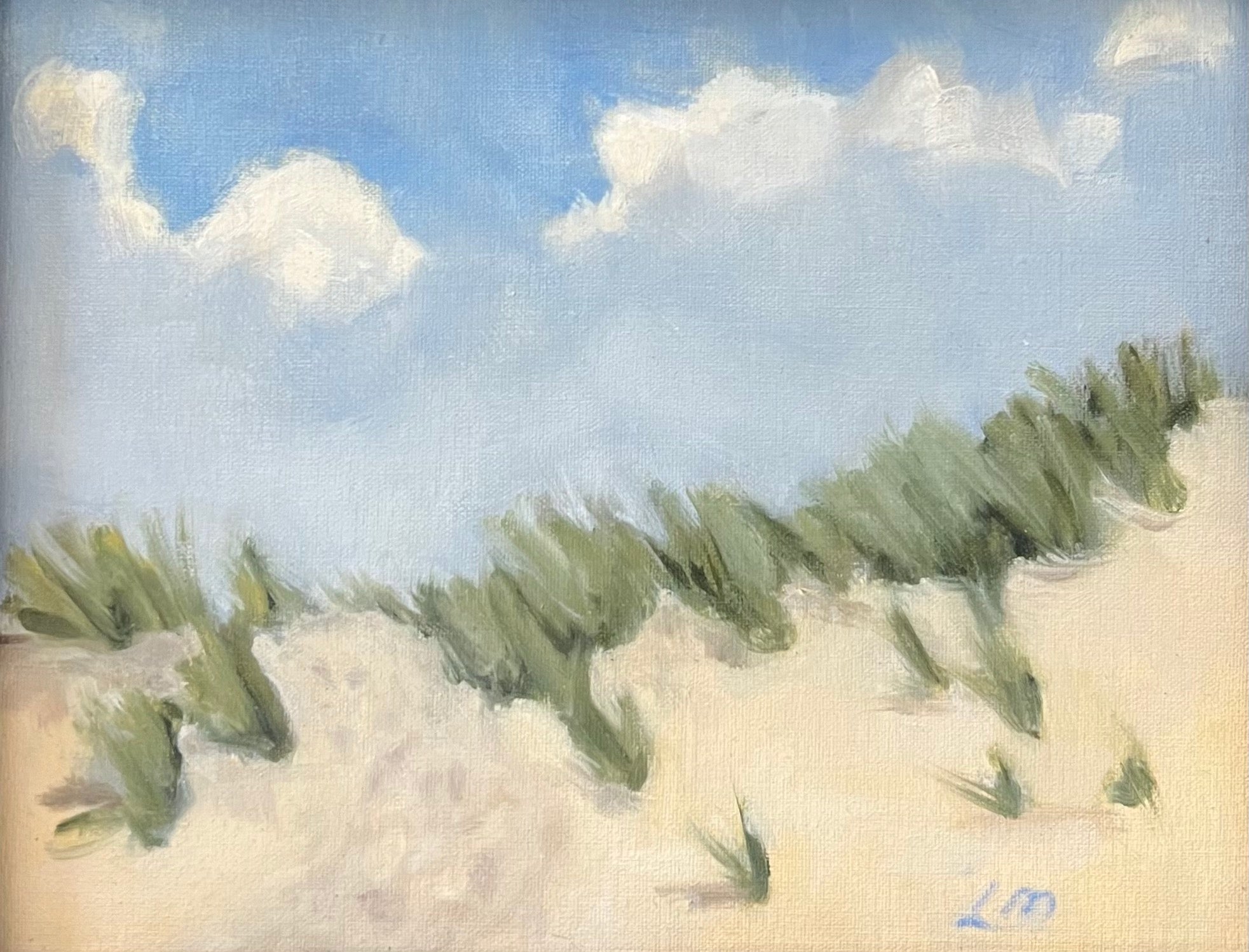 Schoorlse Dunes - Caitlin Wilson Design