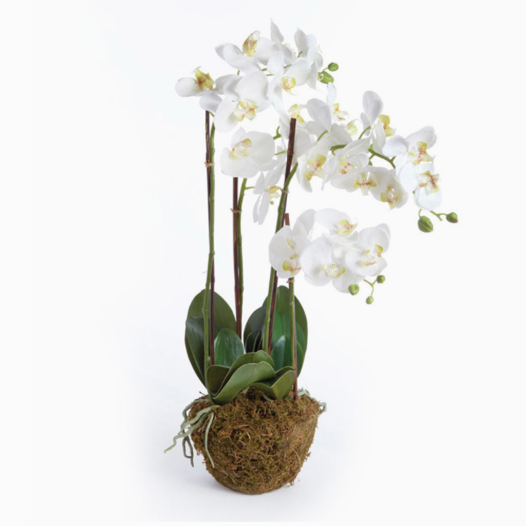 30" Faux Orchid Drop-In