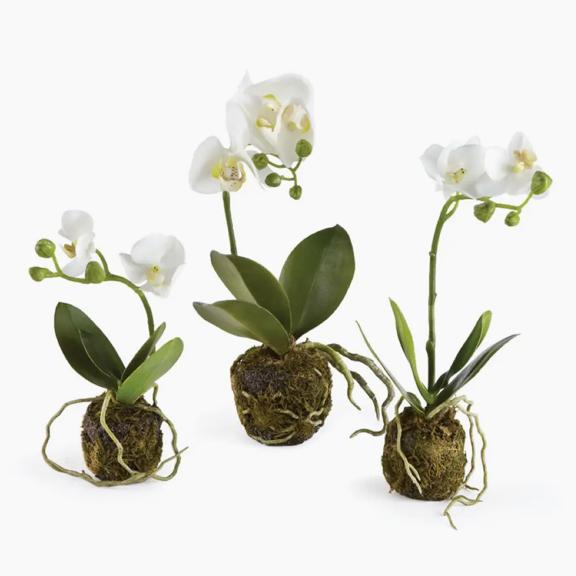 12" Faux Orchid Drop-In