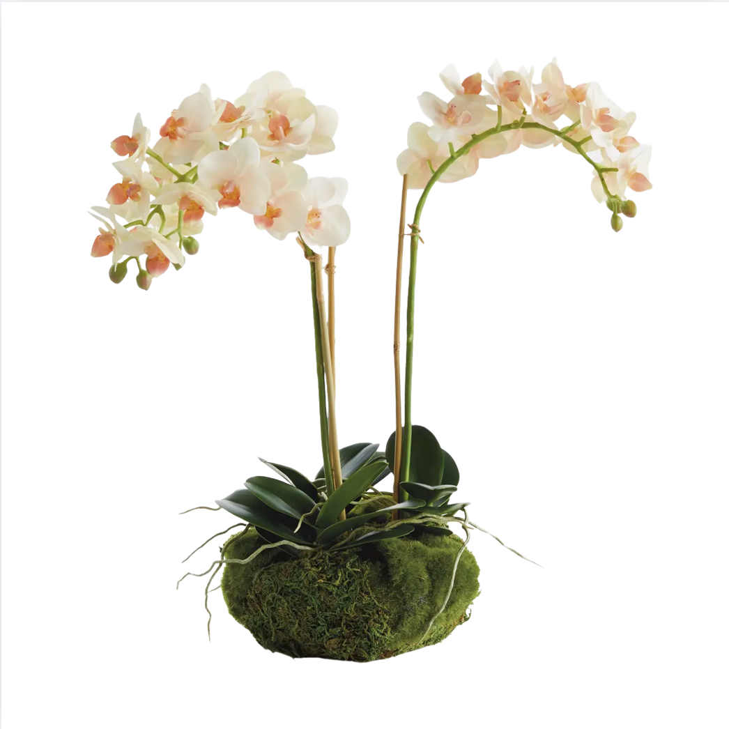 16" Faux Orchid Drop-In