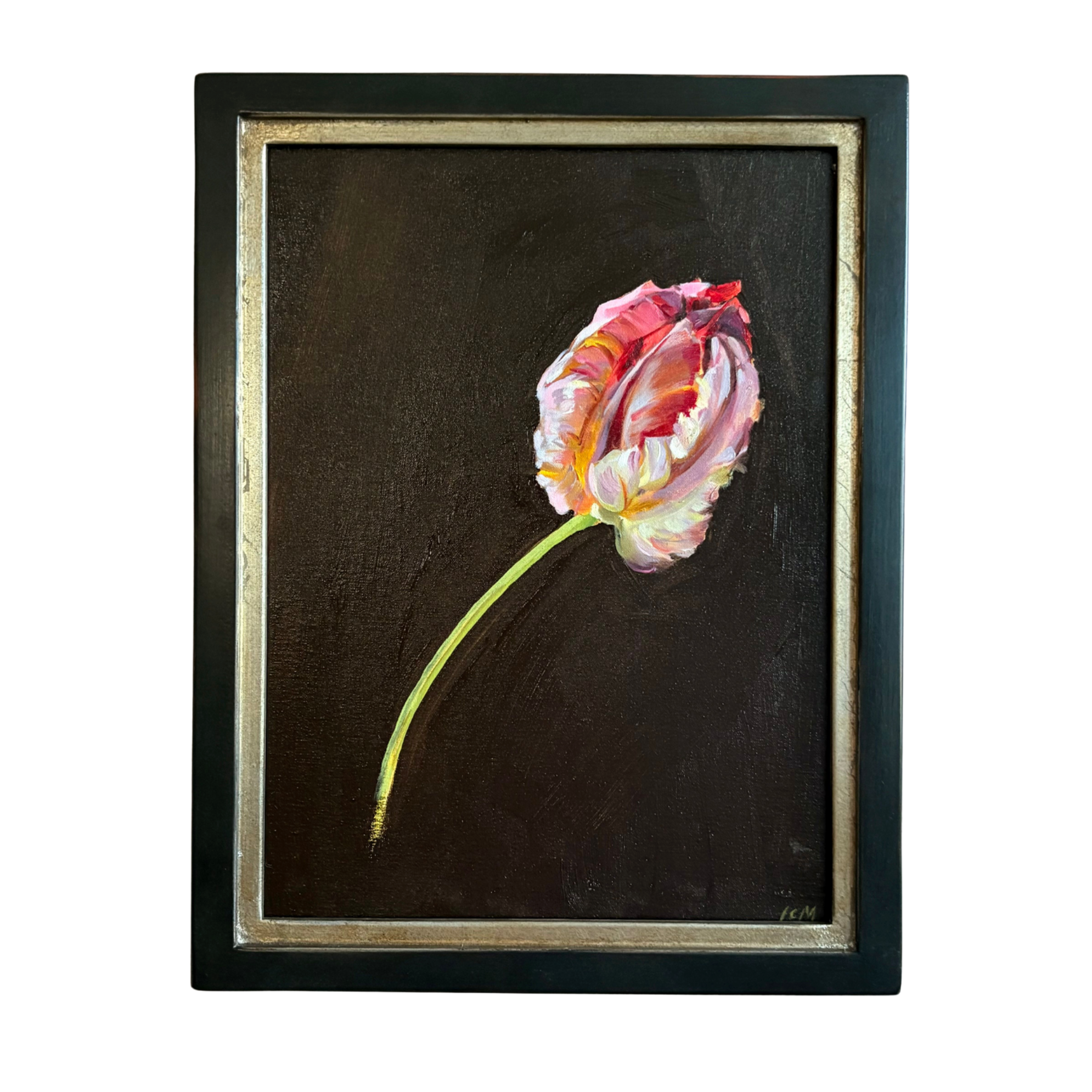 Tulip, Rococo by Lynne Millar