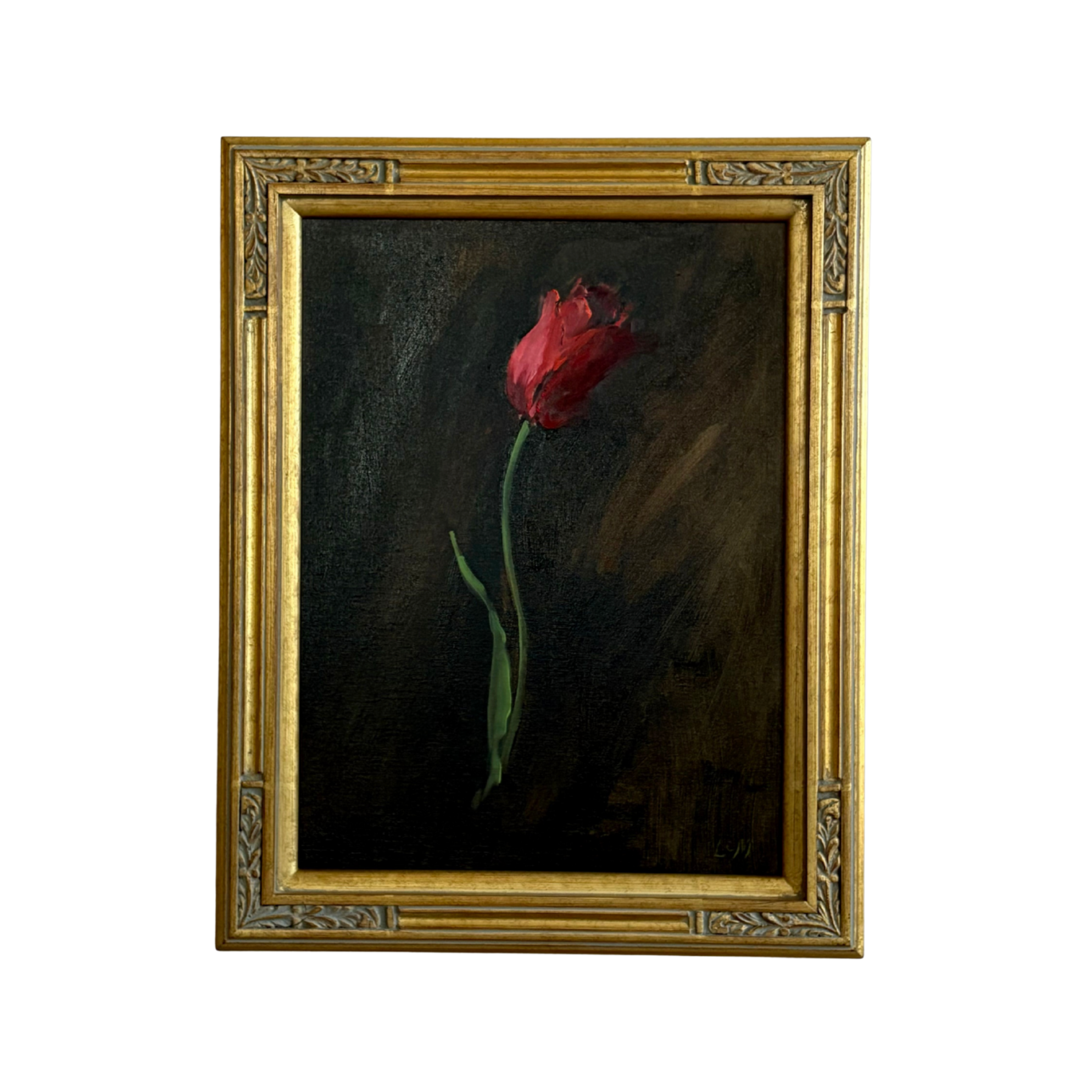 Tulip, Apeldoorn by Lynne Millar