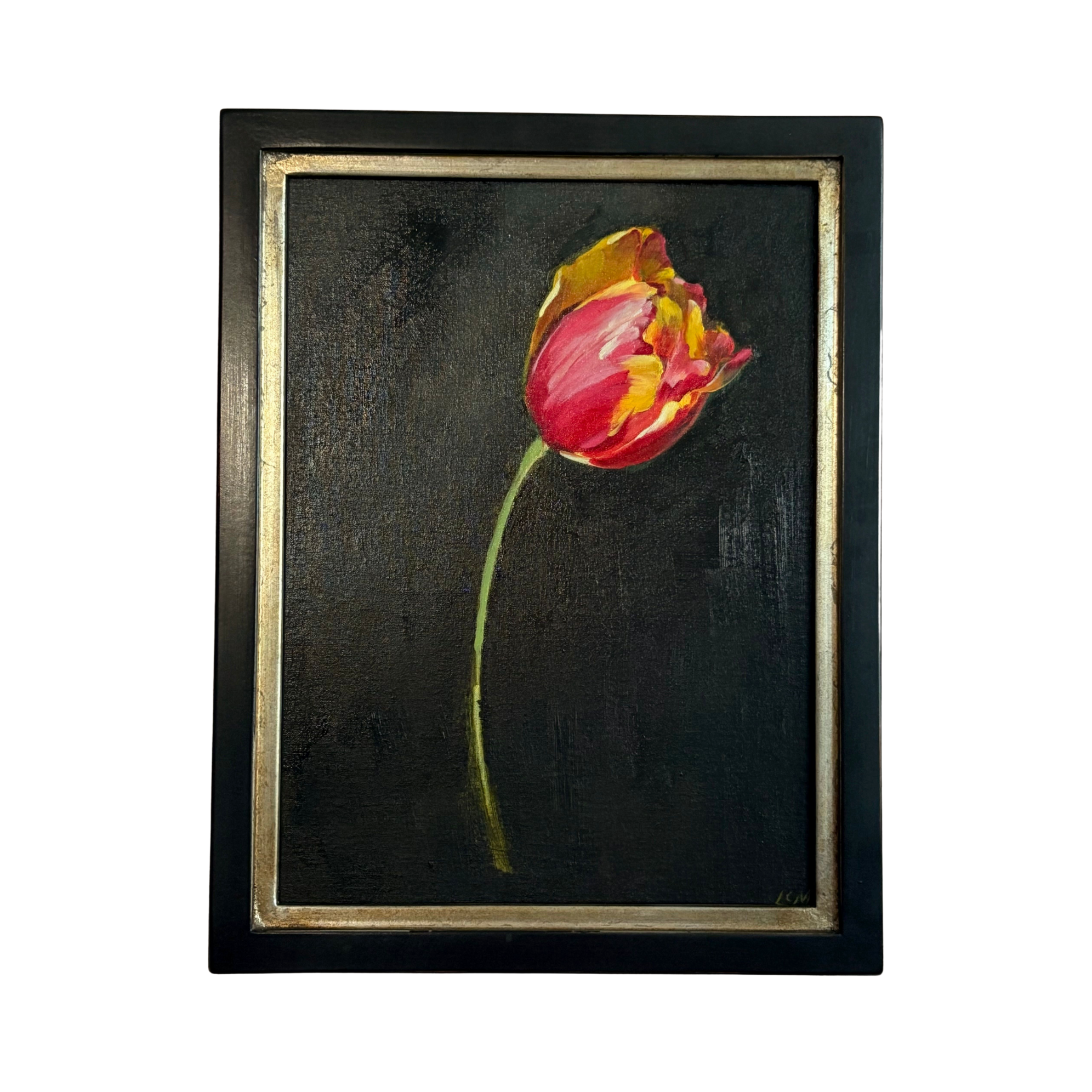 Tulip, Banta Luca by Lynne Millar