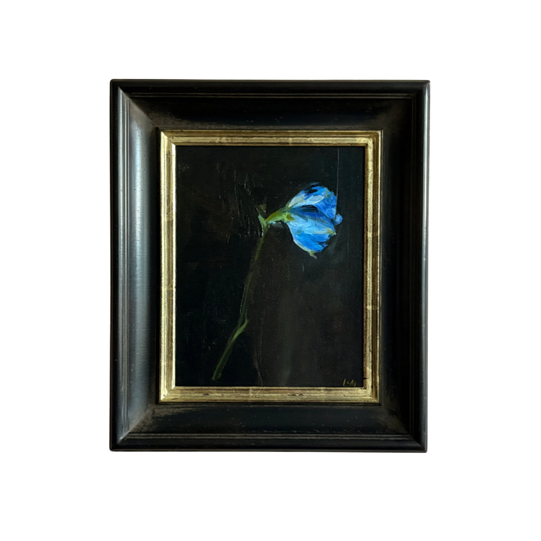 Blue Delphinium by Lynne Millar