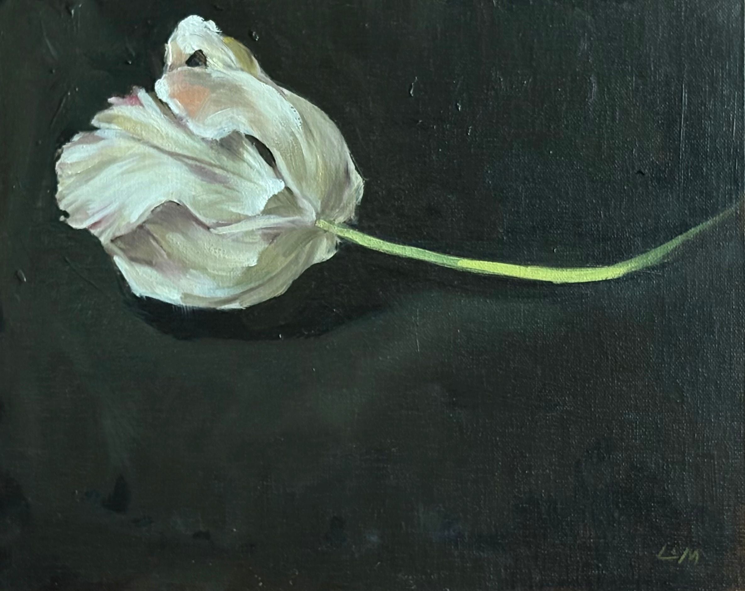 White Tulip by Lynne Millar