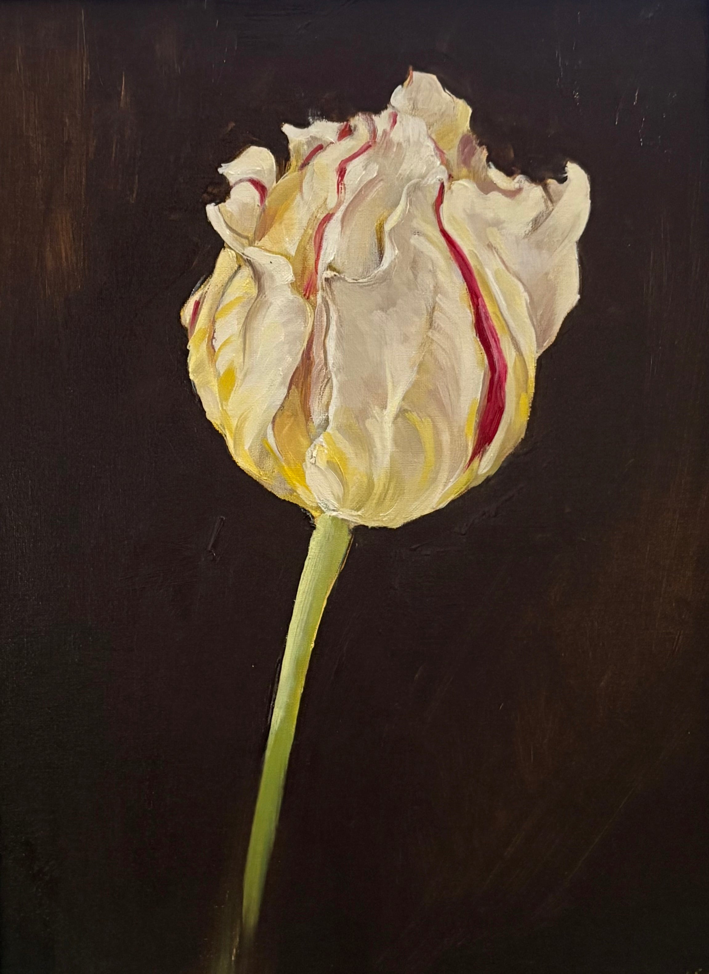 Tulip, Carnival de Nice- Caitlin Wilson Design