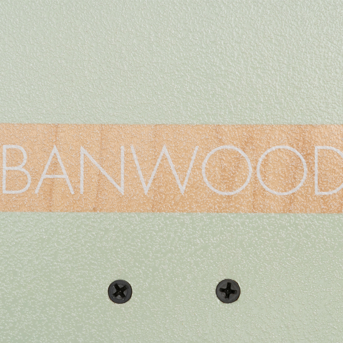 Skateboard - Caitlin Wilson Designs