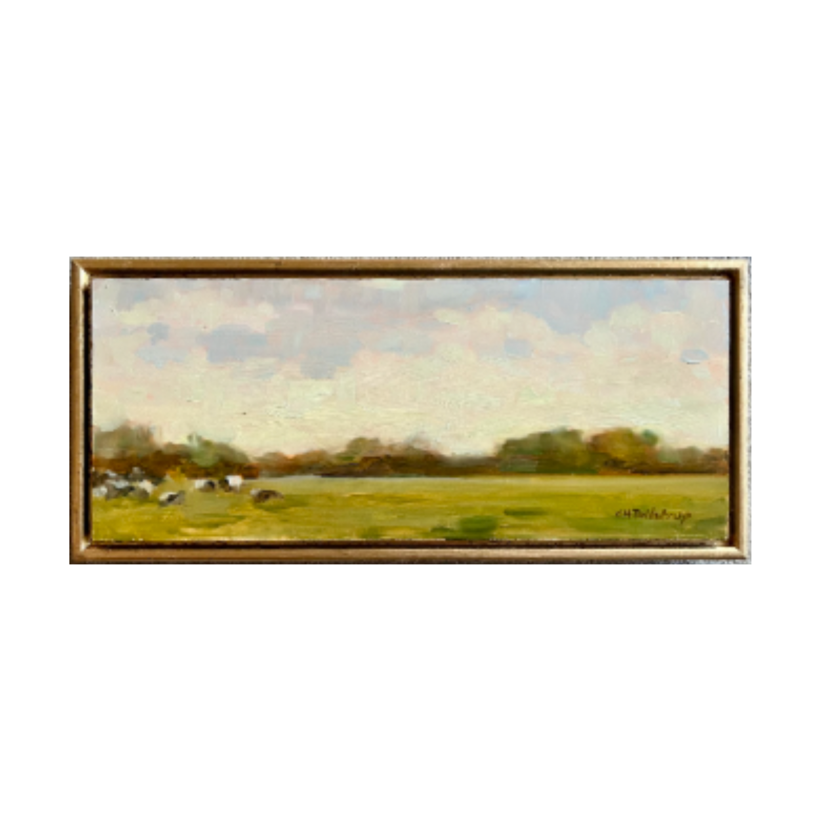 Dutch Fields by Claire Tollstrup