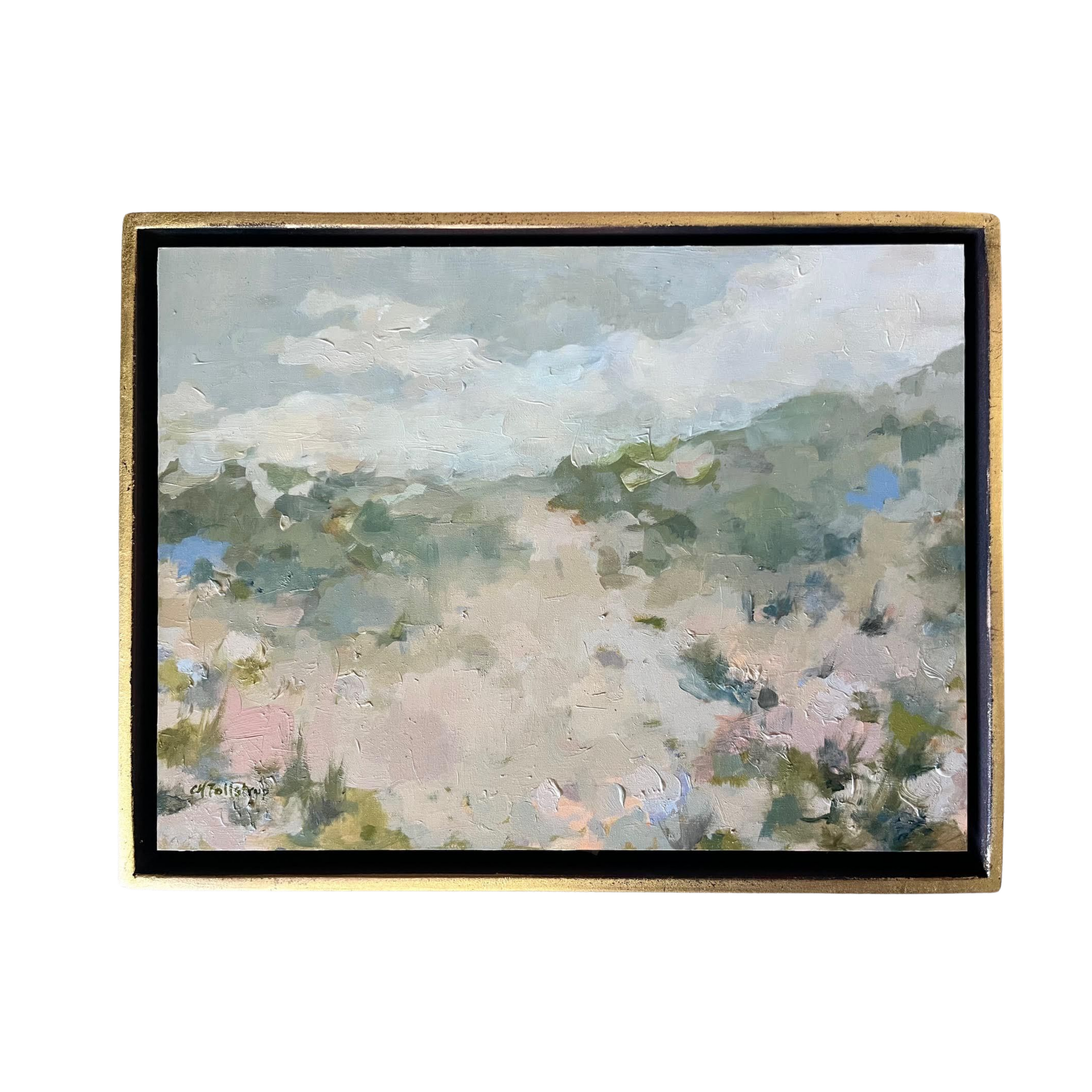 Schoorl Dunes by Claire Tollstrup