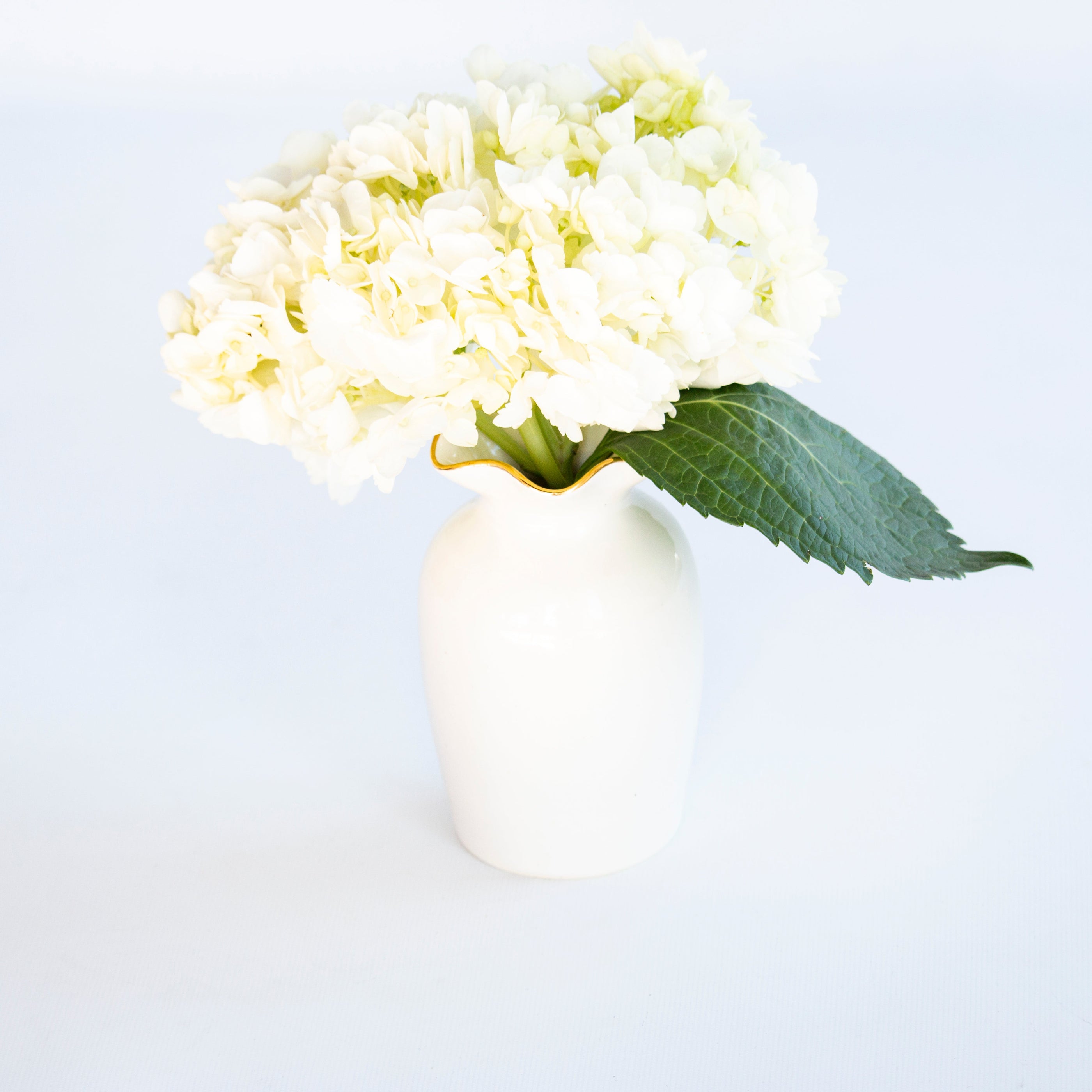 Hyacinth Vase