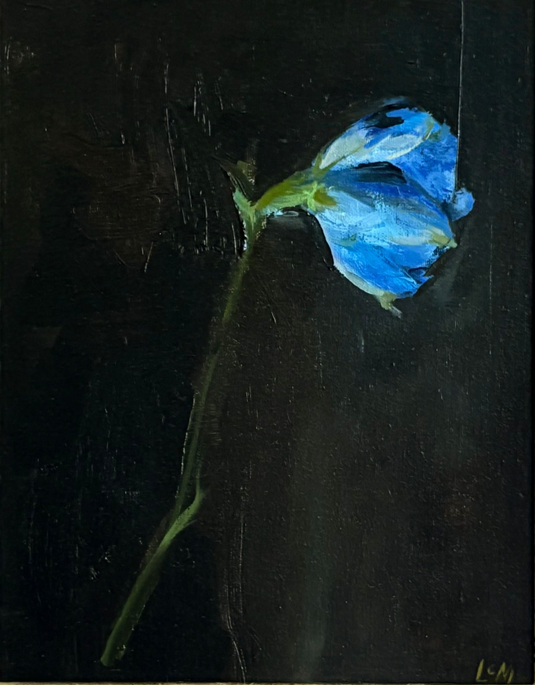 Blue Delphinium by Lynne Millar